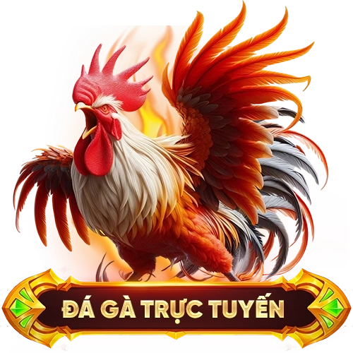 đá gà trực tuyến 88GO